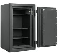 Panzerschrank VPPA – 100